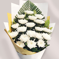 白菊花束